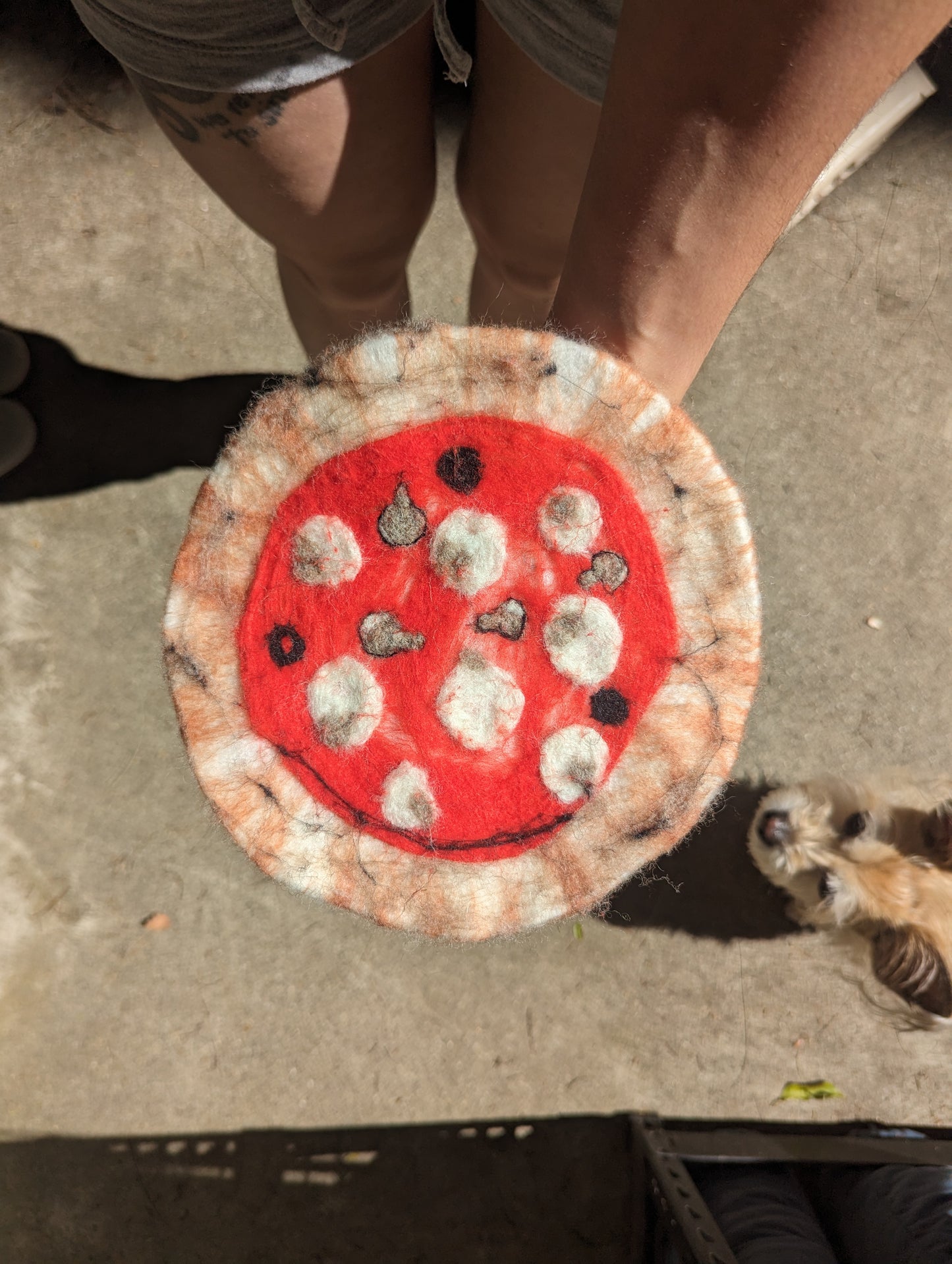 Pizza Felting Class at the Secret Spot - DATE MOVED to 4/27 due to weather