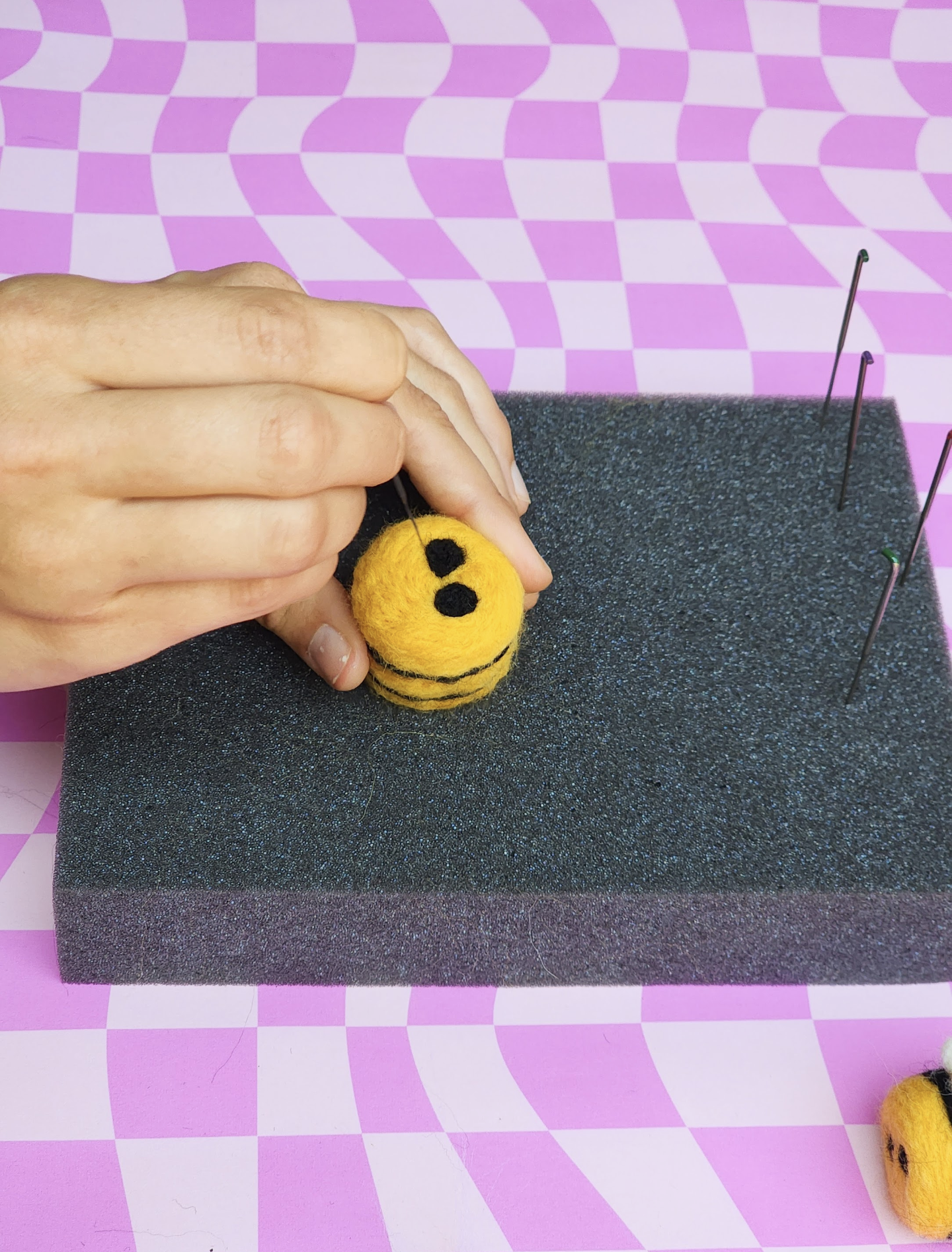 Summer Picnic Felting Kit