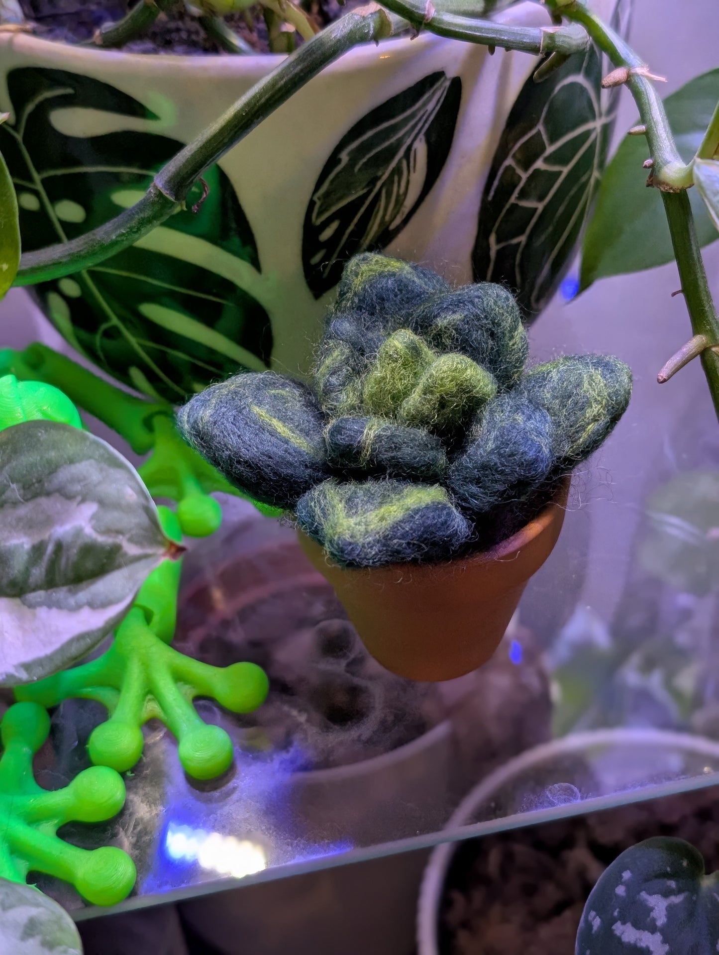 Mini Succulent Felting Class at SJ Made Little Shops Village