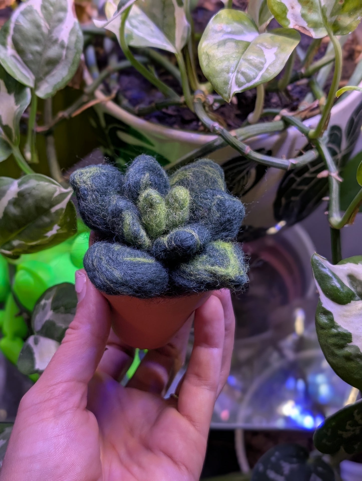 Mini Succulent Felting Class at SJ Made Little Shops Village