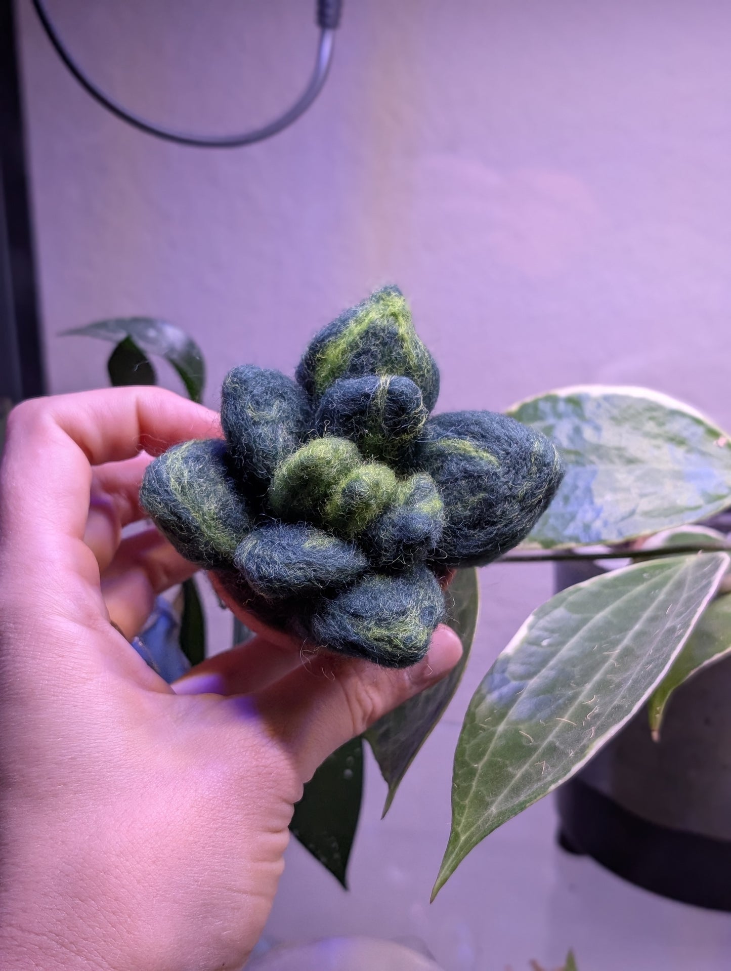 Mini Succulent Felting Class at SJ Made Little Shops Village
