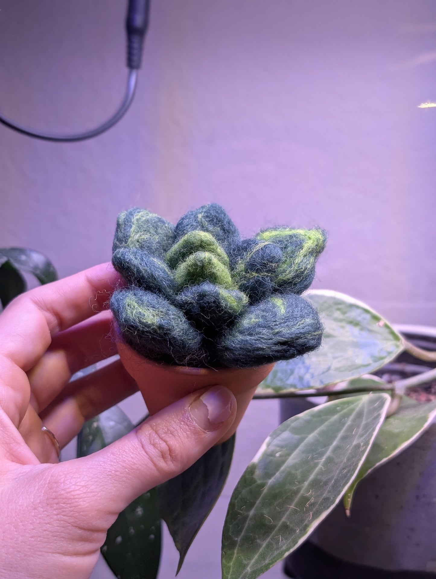 Mini Succulent Felting Class at SJ Made Little Shops Village