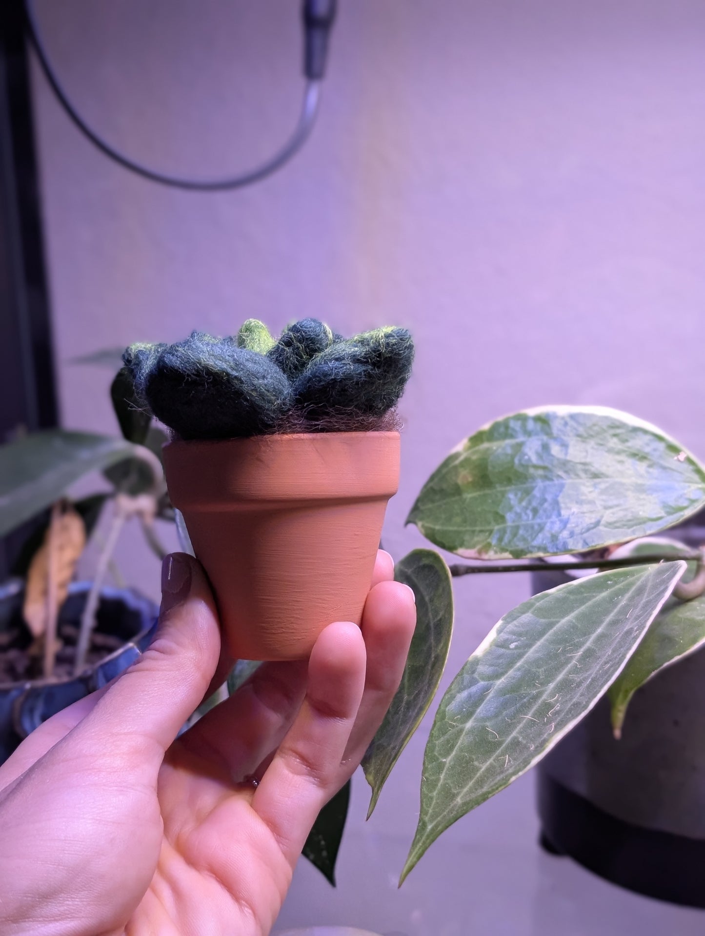Mini Succulent Felting Class at SJ Made Little Shops Village